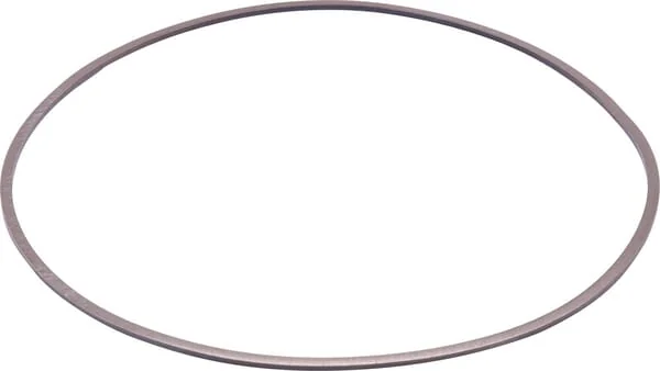 ZF - 0501335265 - Support Ring