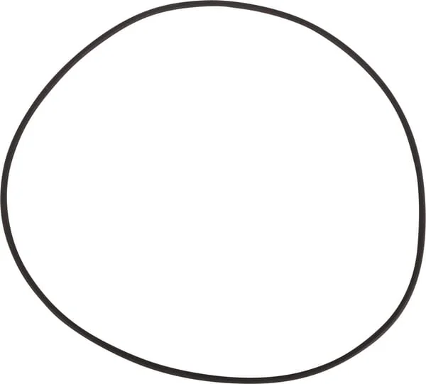 ZF - 0634313639 - O-Ring