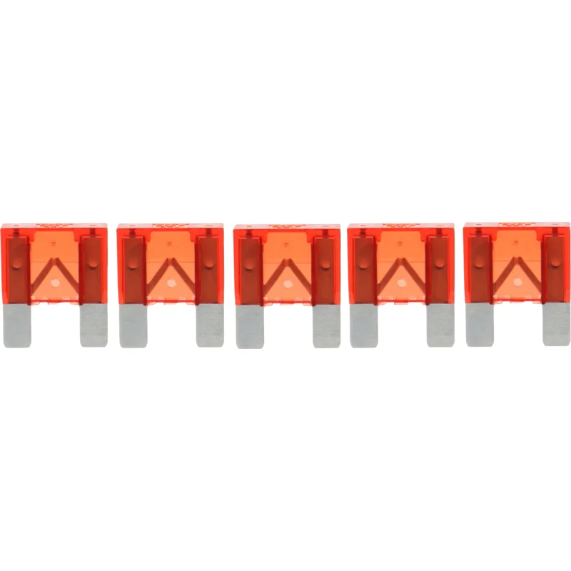 Bosch - 1987529021 - Flat Plug-In Fuses, Maxi