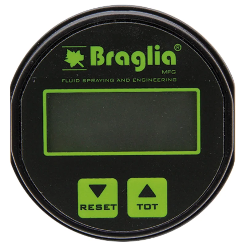 Braglia
