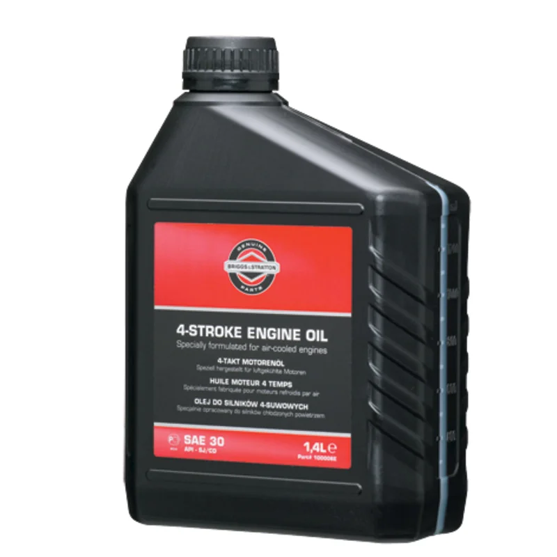 Briggs & Stratton