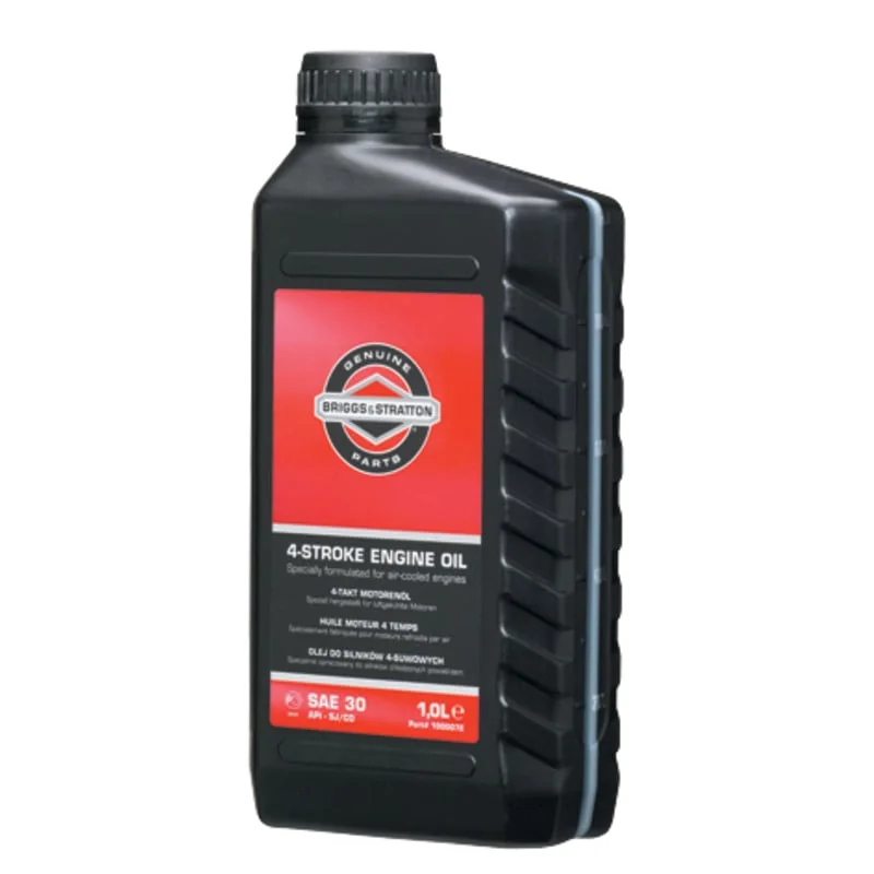 Briggs & Stratton