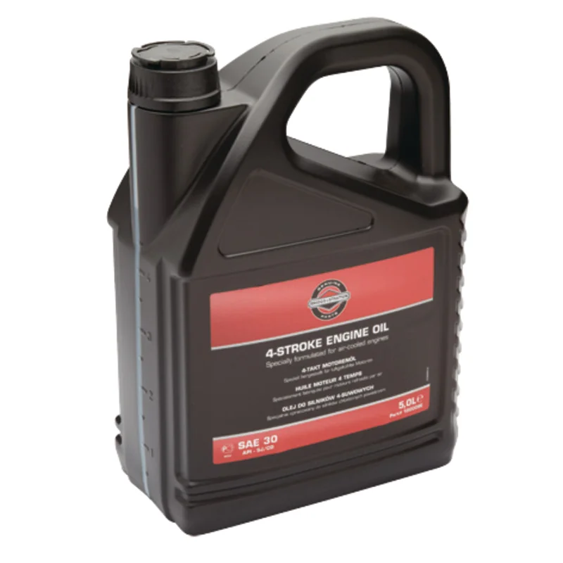 Briggs & Stratton