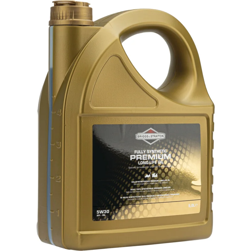 Briggs & Stratton