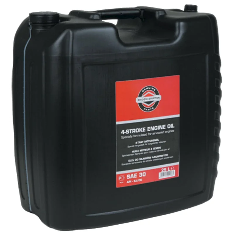 Briggs & Stratton