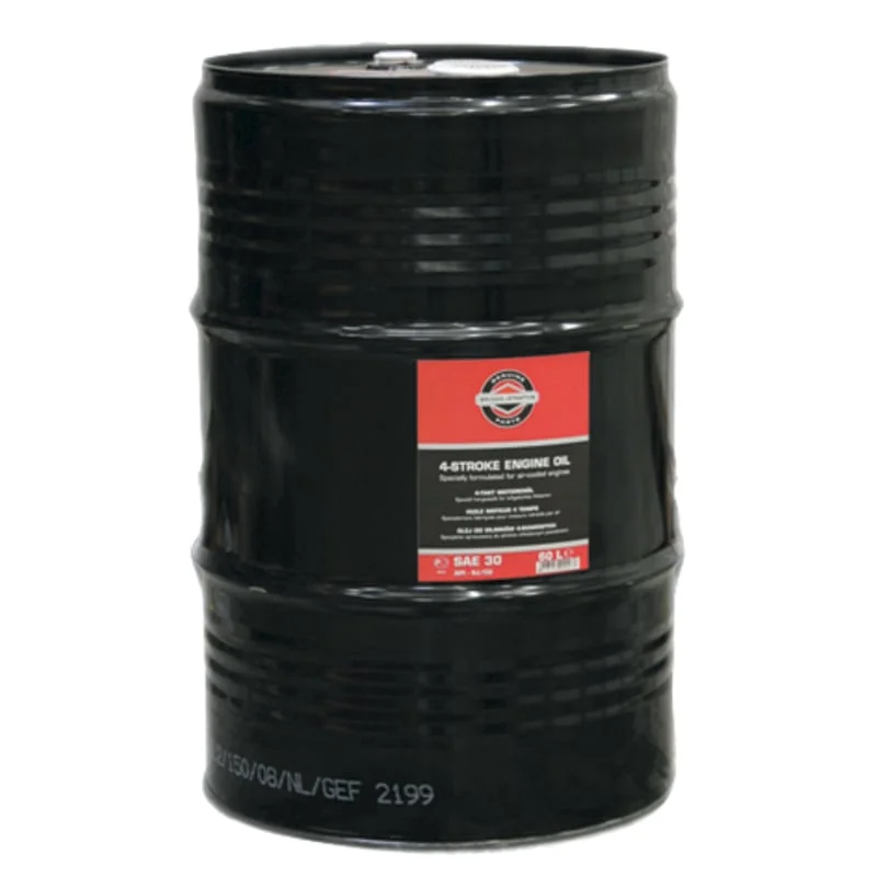 Briggs & Stratton
