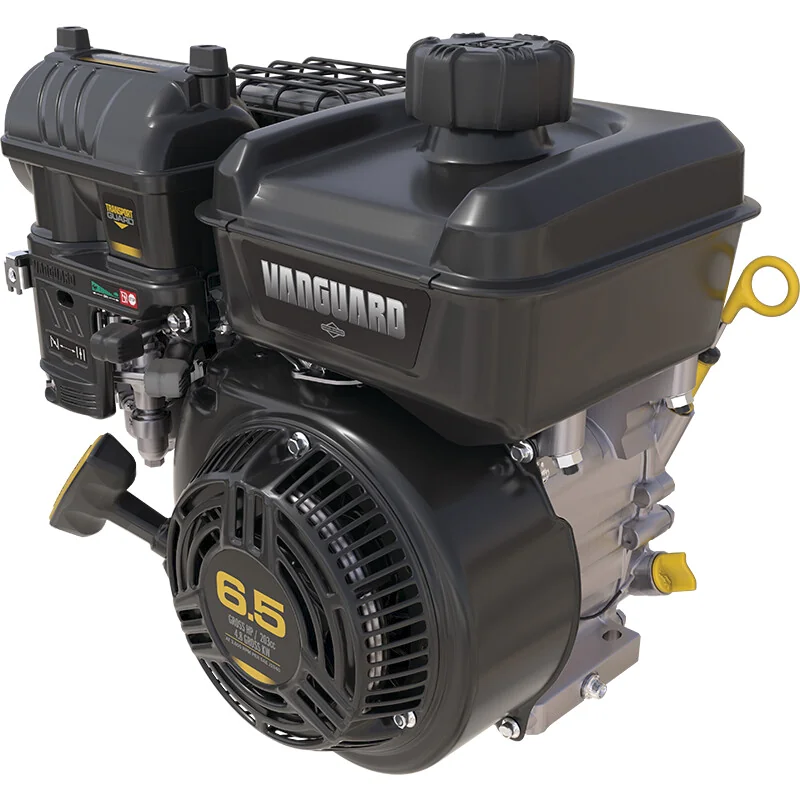Briggs and Stratton