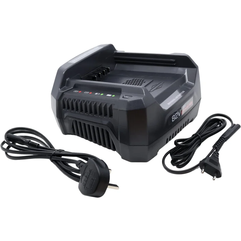 Briggs & Stratton