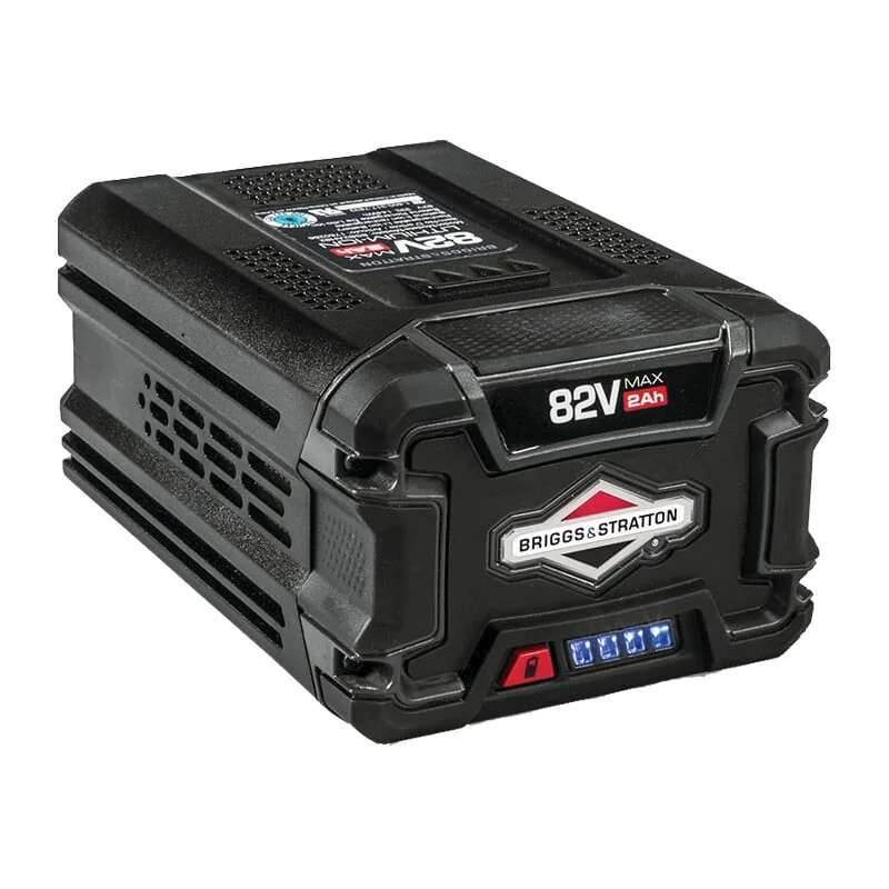 Briggs & Stratton