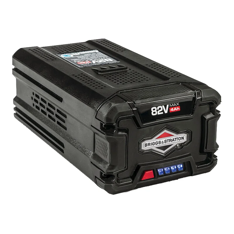 Briggs & Stratton