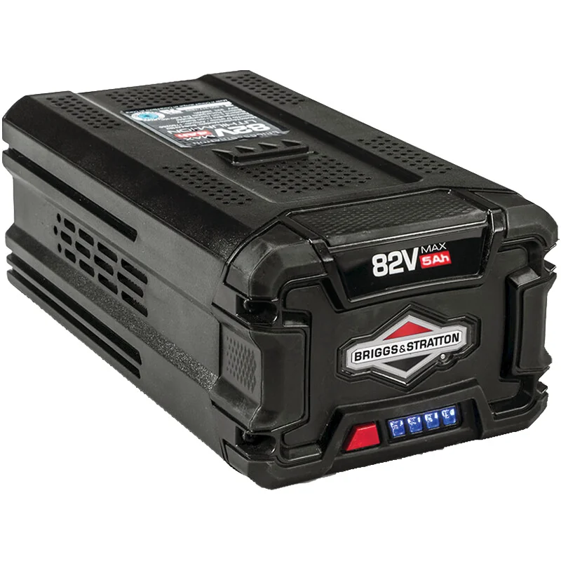 Briggs & Stratton