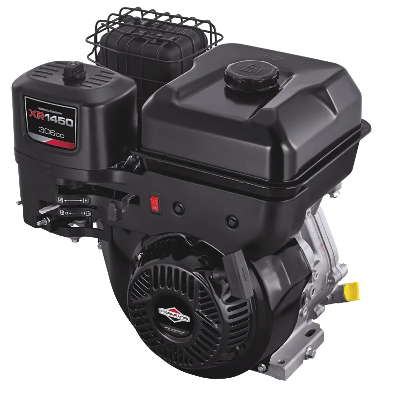Briggs and Stratton
