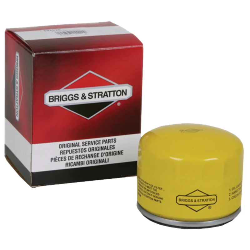 Briggs and Stratton