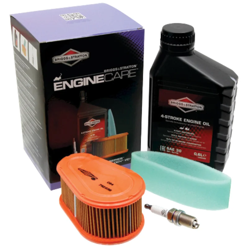 Briggs and Stratton