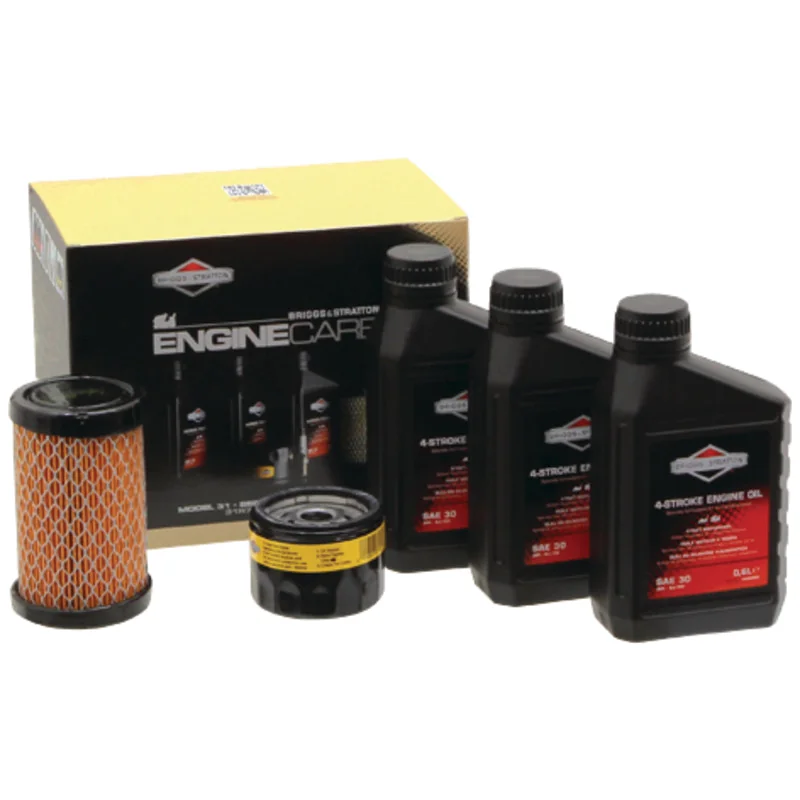 Briggs and Stratton