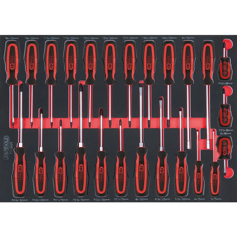 KS Tools - 7110025 - ERGOTORQUEplus® Screwdriver Set