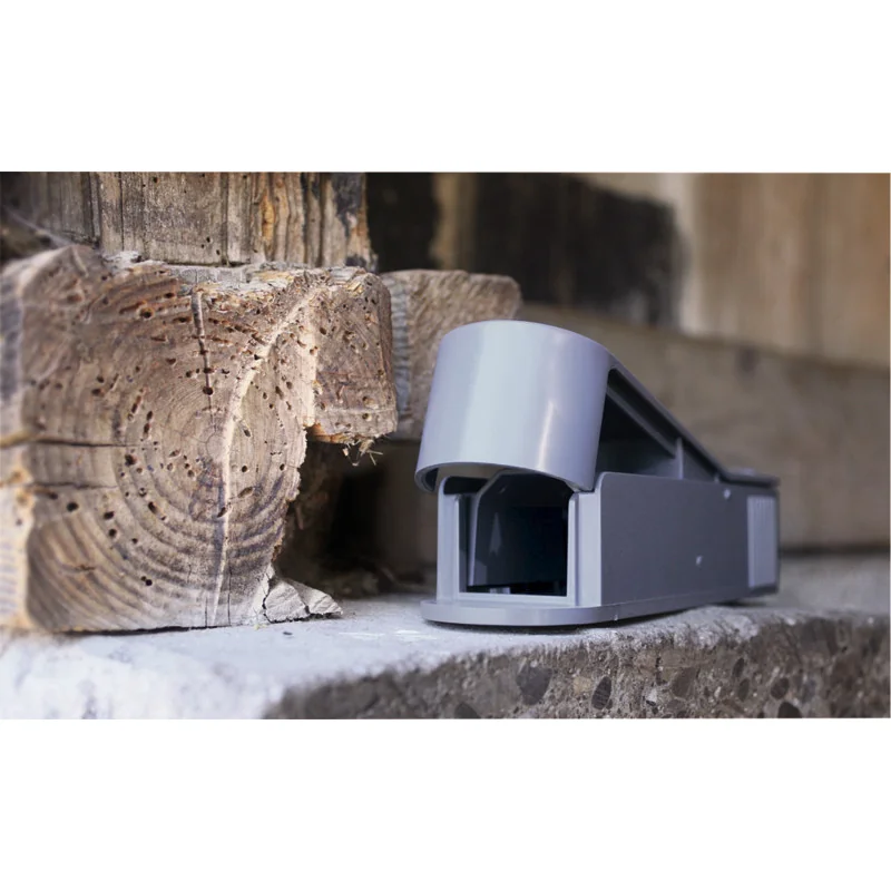 Swissinno - 1080035 - SuperCat Mouse House Live Trap