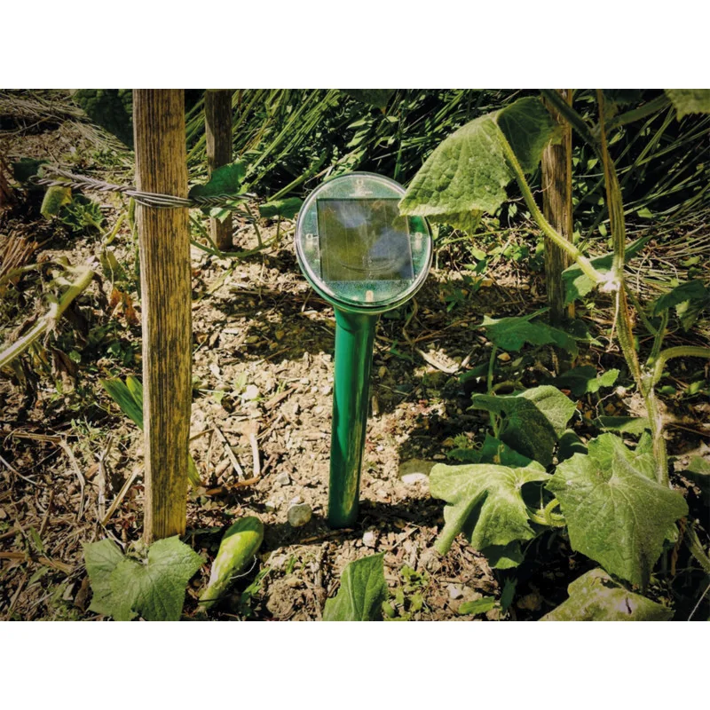 Swissinno - 1704001 - SuperCat Solar Mole Repeller