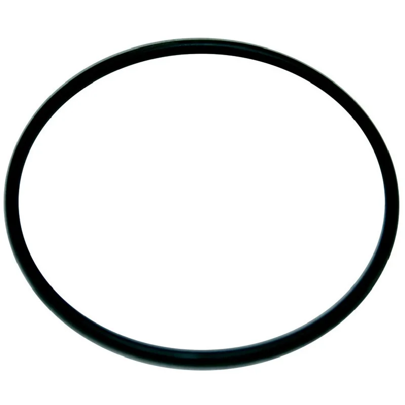 Annovi Reverberi - 1040060 - O-Ring