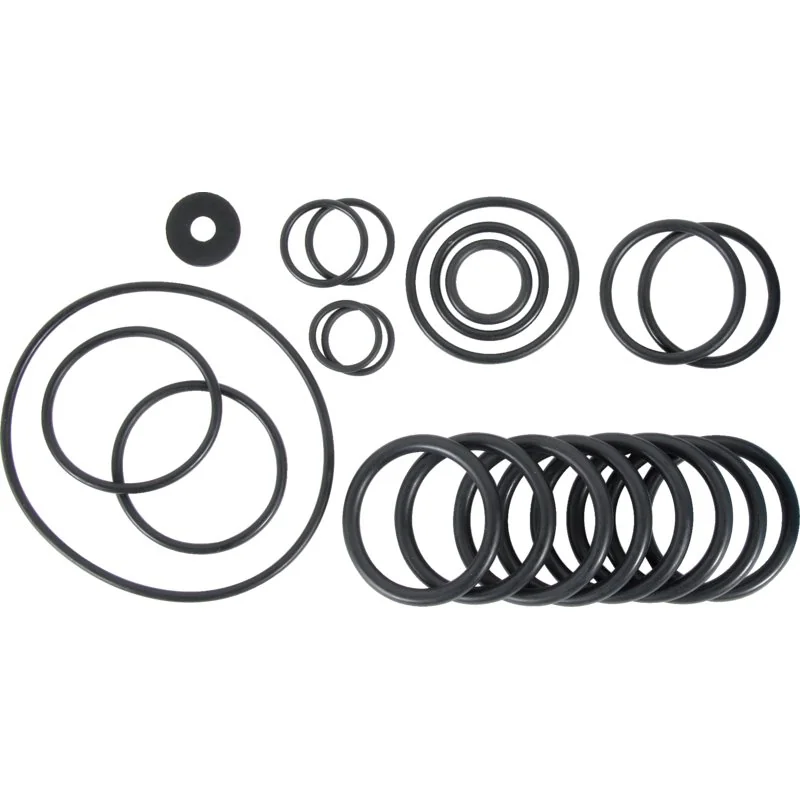 Annovi Reverberi - 1908 - O-ring set