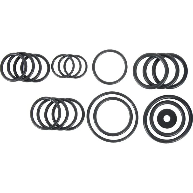 Annovi Reverberi - 1916 - O-ring set