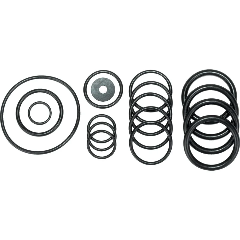 Annovi Reverberi - 1919 - O-ring set