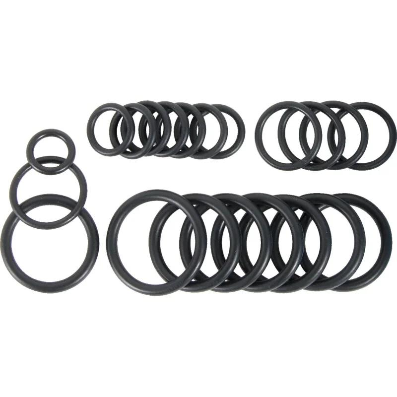 Annovi Reverberi - 1955 - O-ring set