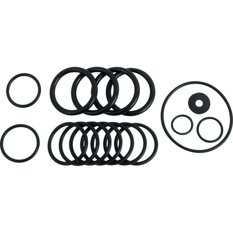 Annovi Reverberi - 2365 - O-ring set