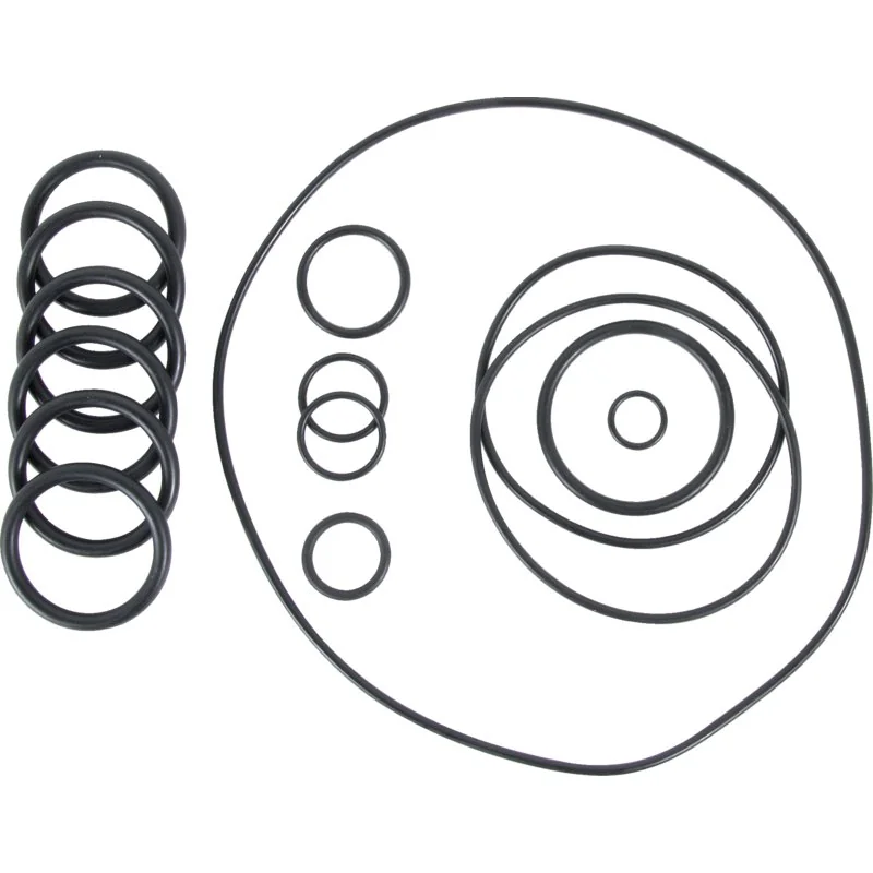 Annovi Reverberi - 2446 - O-ring set