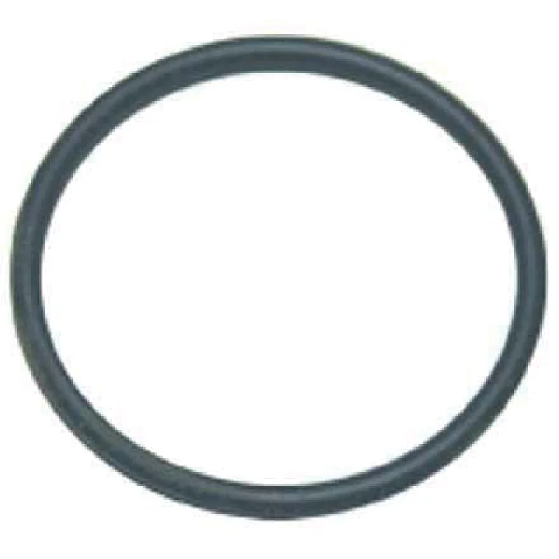 Annovi Reverberi - 250310 - O-Ring