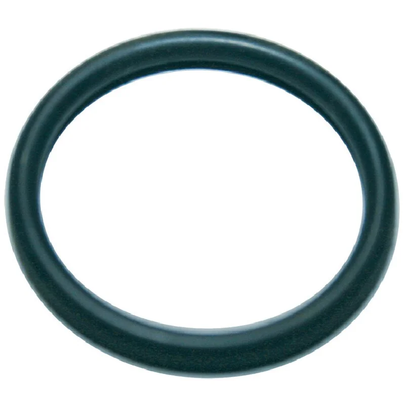 Annovi Reverberi - 390290 - O-Ring