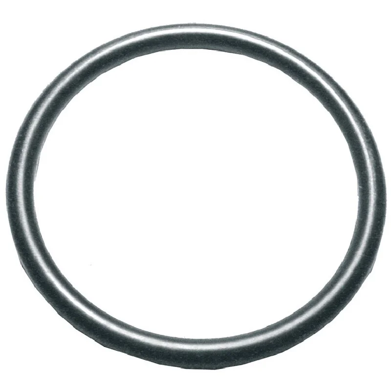 Annovi Reverberi - 390291 - O-Ring