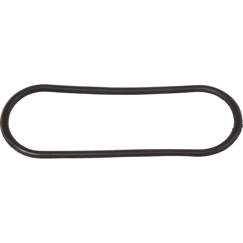 Annovi Reverberi - 580050 - Gasket