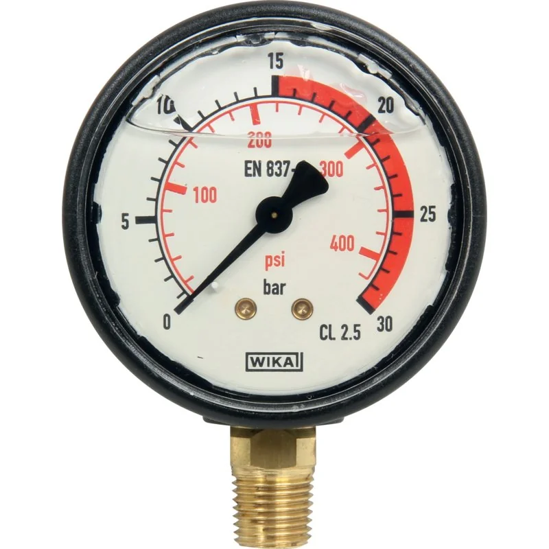 Annovi Reverberi - 801050 - Pressure gauge