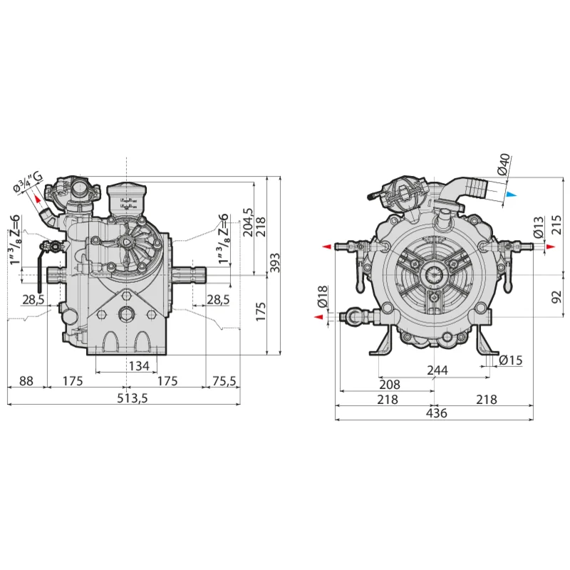 Annovi Reverberi - BHS 120 CC - Piston Diaphragm Pump
