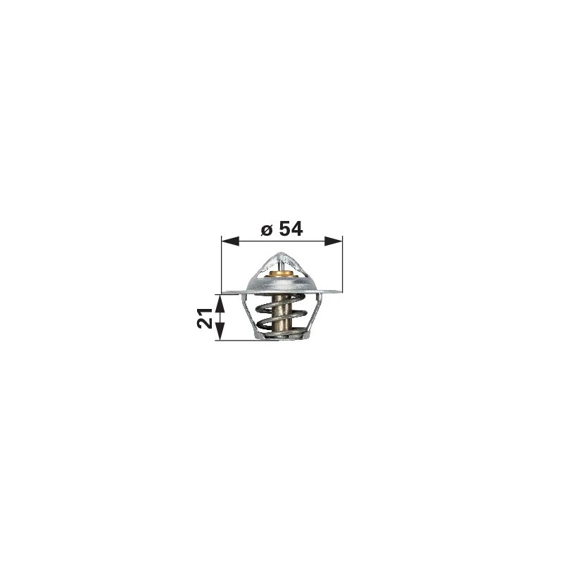 BorgWarner