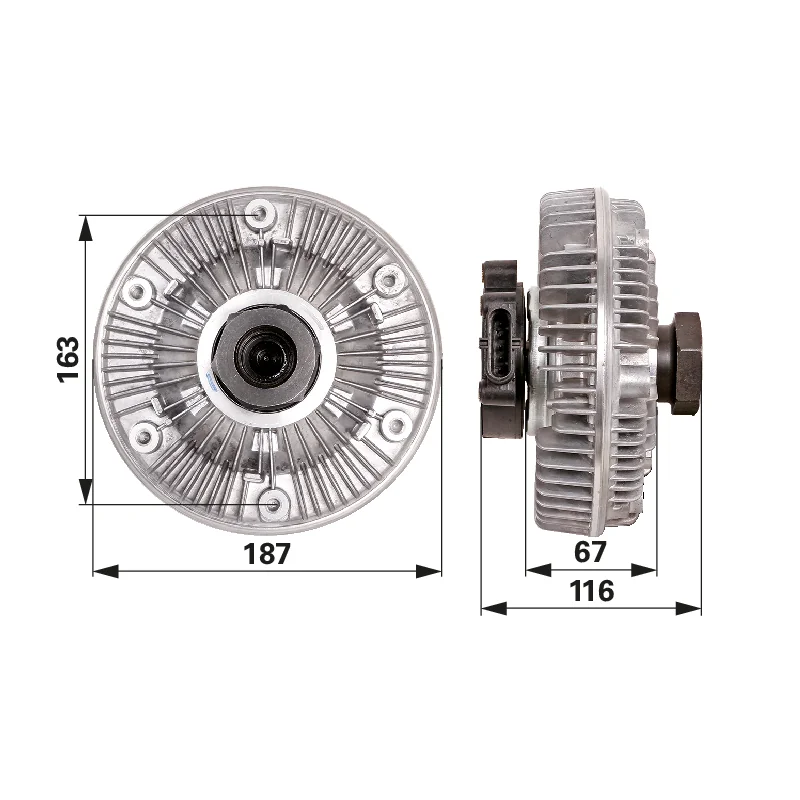 BorgWarner