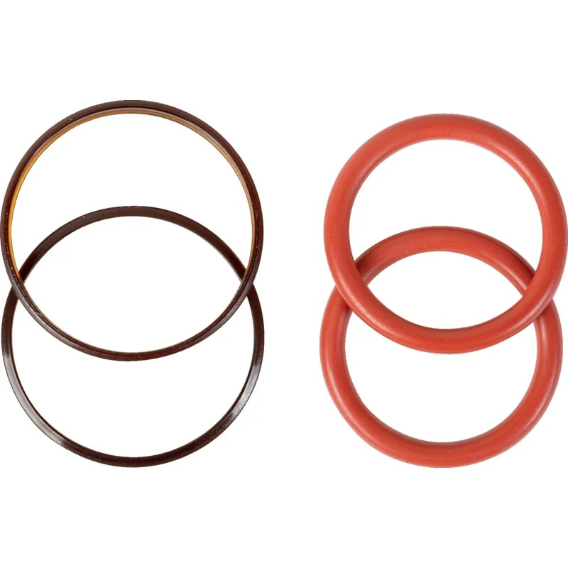 Bosch Rexroth - R917001563 - Seal kit