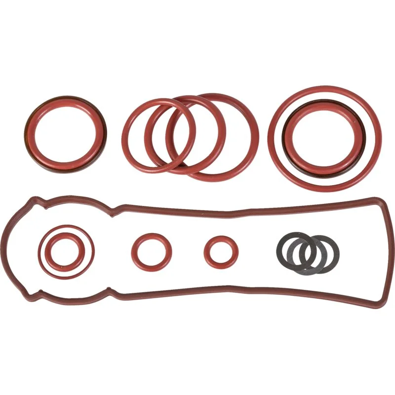 Bosch Rexroth - R917007803 - Seal kit