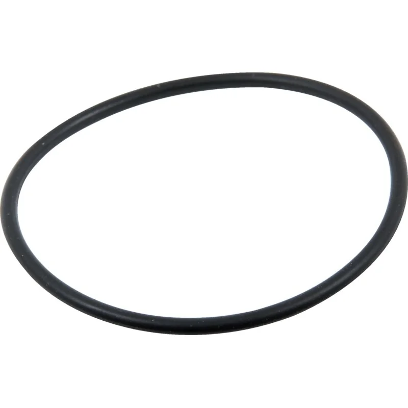 Braglia - 145.602.80 - Gasket