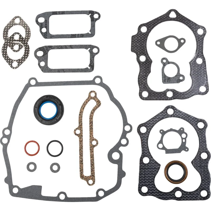 Briggs and Stratton - 590508 - Engine gasket set