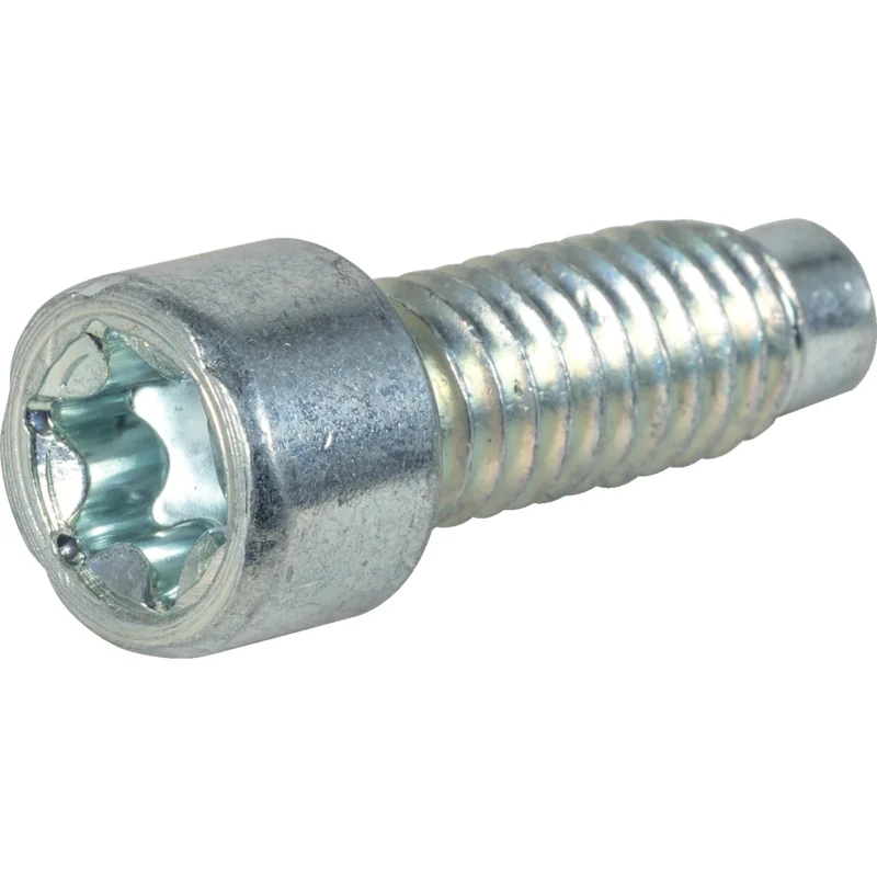 Briggs and Stratton - 698941 - Screw