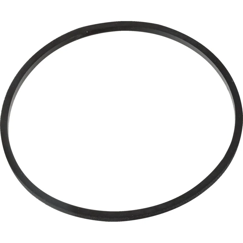 Briggs and Stratton - 712500 - Seal ring-Float chamber