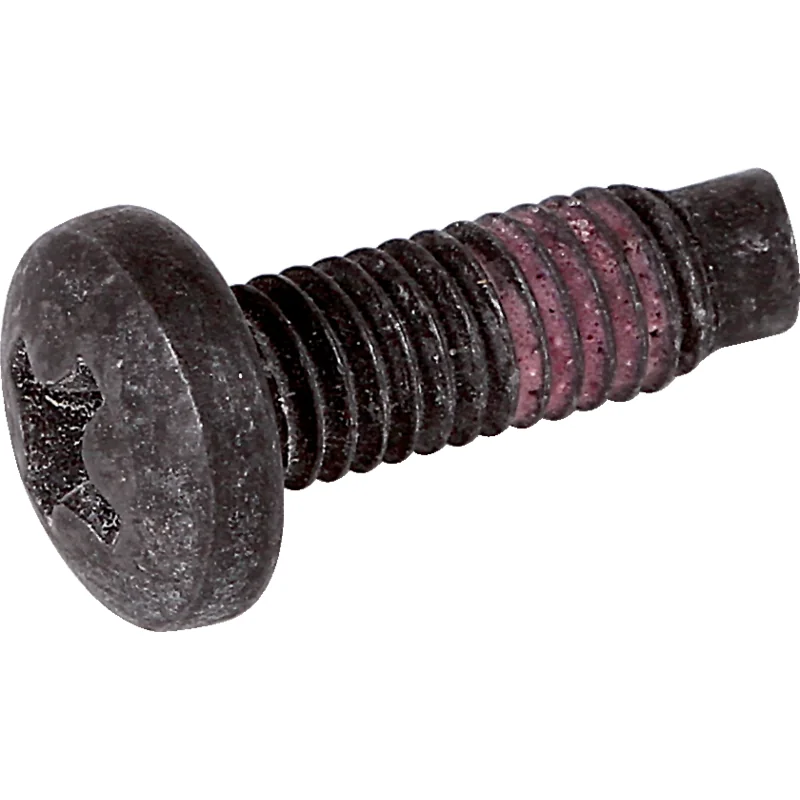 Briggs and Stratton - 790029 - Screw