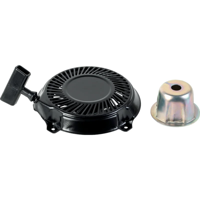 Briggs and Stratton