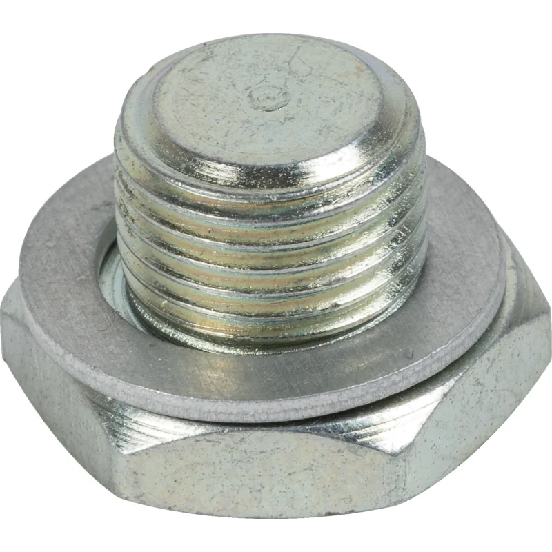 Briggs and Stratton - 793465 - Carburetor plug