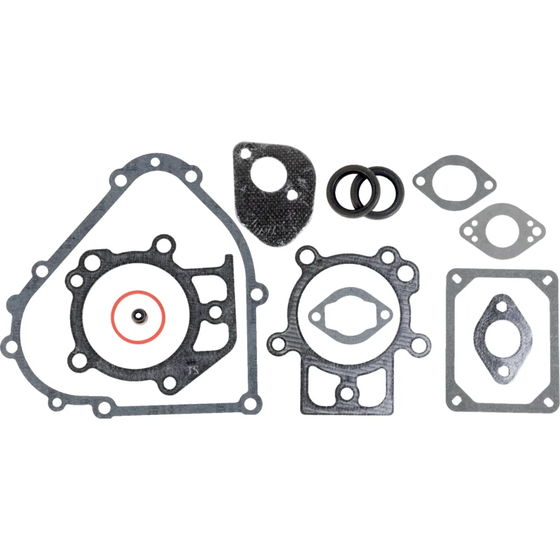 Briggs and Stratton - 795201 - Engine gasket set