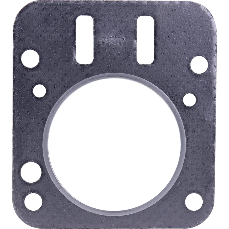 Briggs and Stratton - 798461 - Cylinder head gasket set