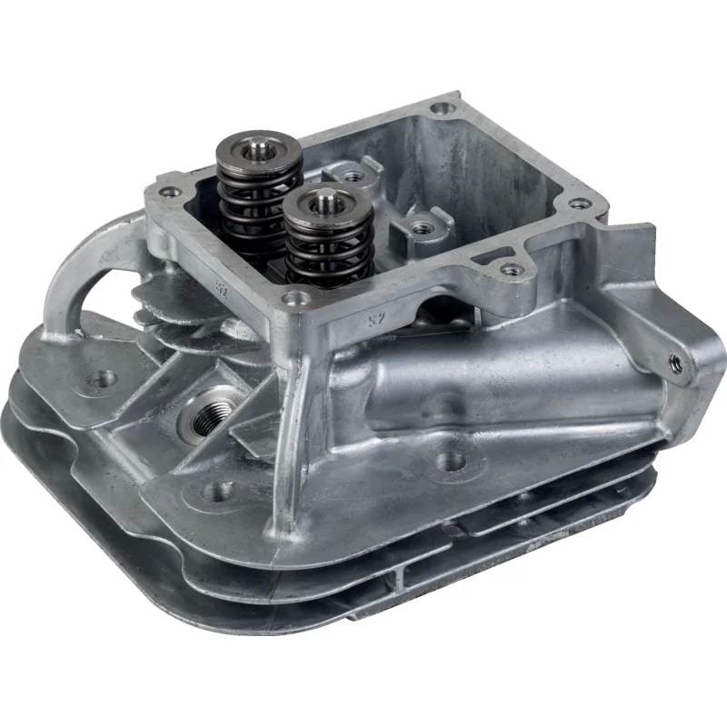 Briggs and Stratton - 799089 - Cylinder Head