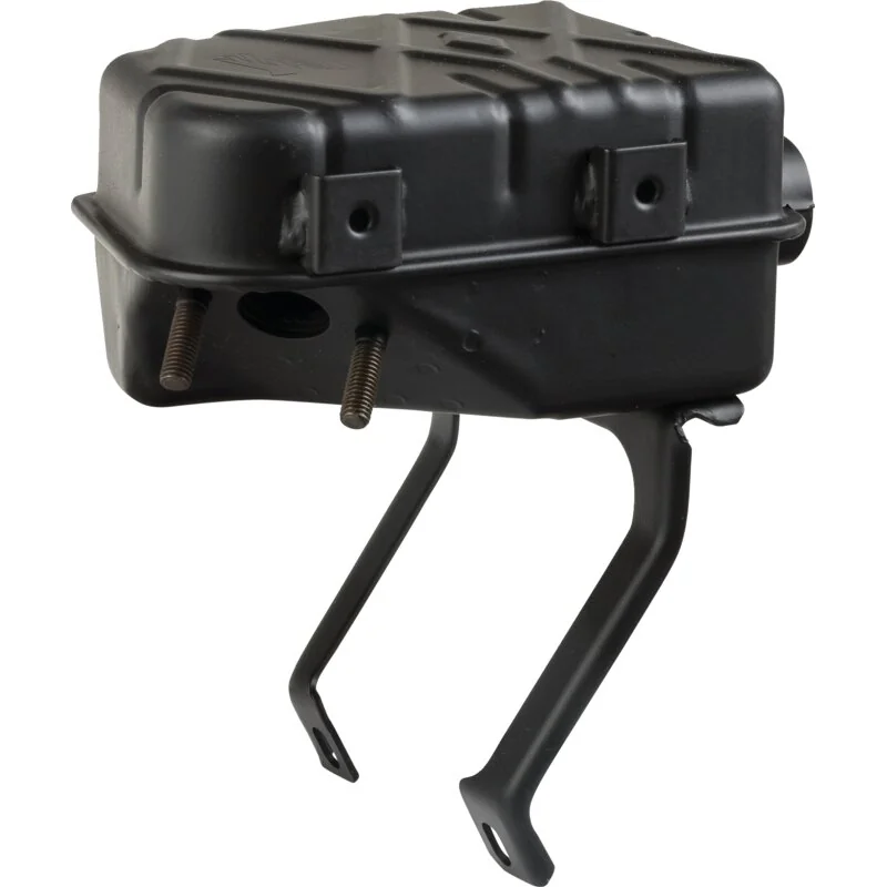 Briggs and Stratton